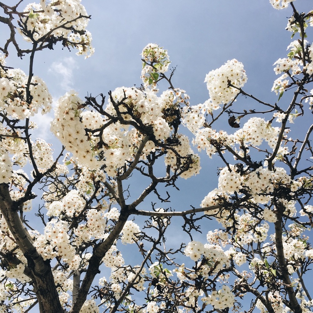 Meet your Posher, Kimmy